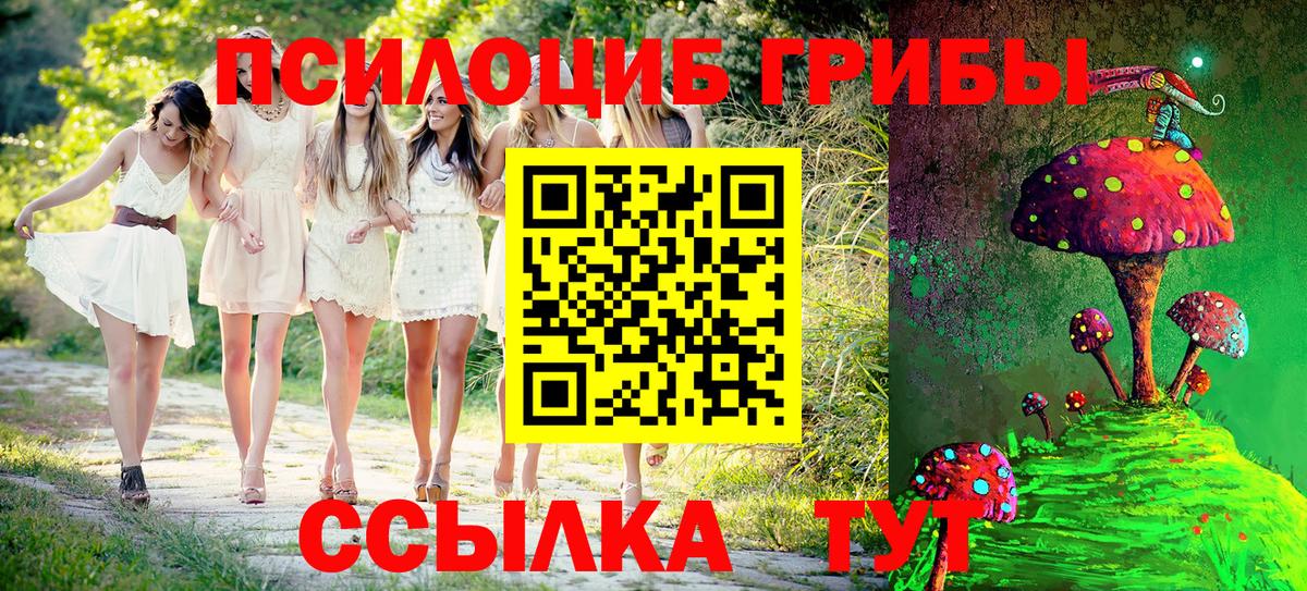Псилоцибиновые грибы мухоморы Черкесск