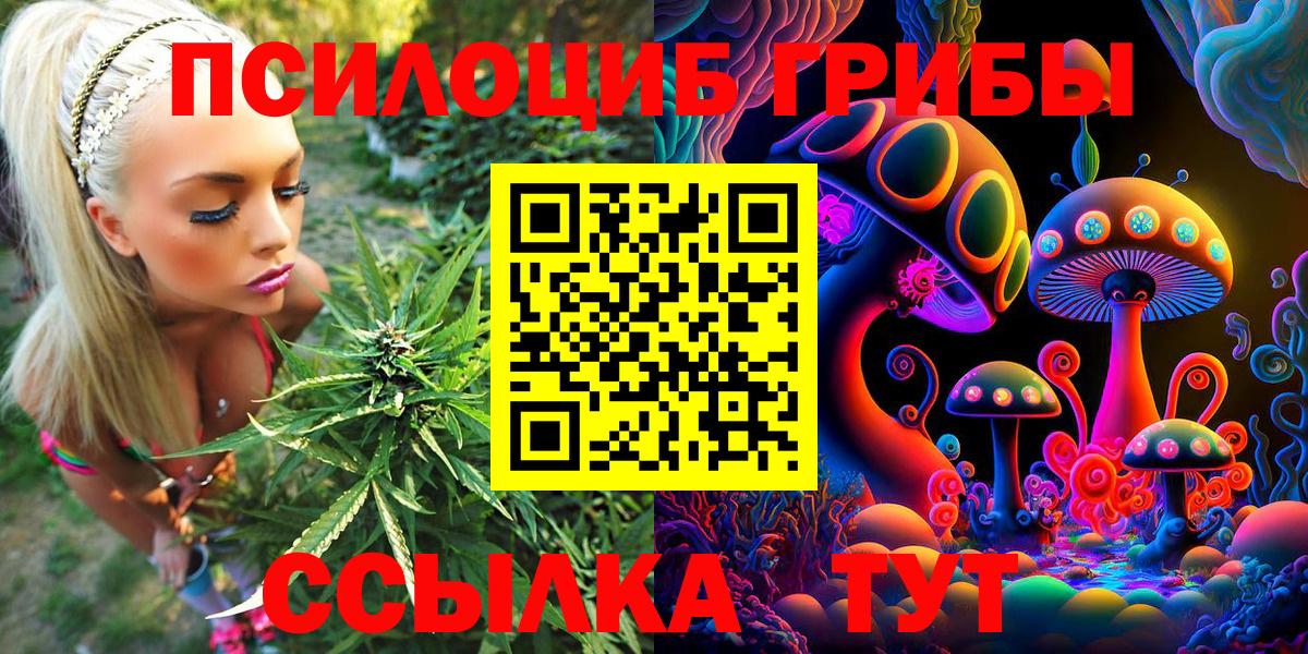 Черкесск  Псилоцибиновые грибы мухоморы  Вход с VPN 